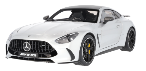 Mercedes-AMG GT 63 4MATIC+ high-tech silver, NZG, 1:12