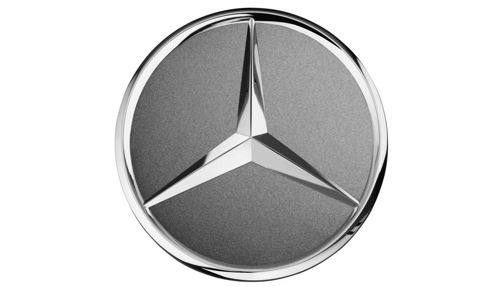 Wheel hub cover, raised star, Termolit metallic